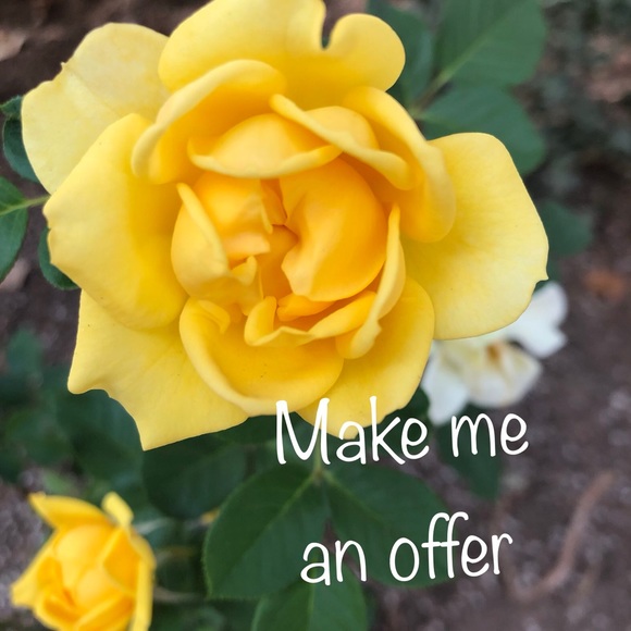 Meet your Posher, Jennifer - Picture 1 of 1